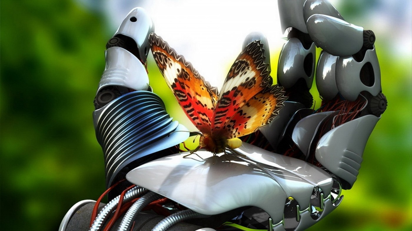 banner 2